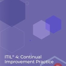 ITIL® 4: Continual improvement practice Ebook